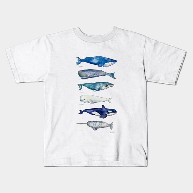 Whale Species Kids T-Shirt by CunninghamWatercolors